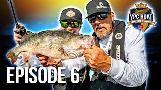 PERCH ALARM! Who will take the day's victory? | YPC Boat 2025 Episode 6