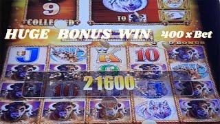 HUGE BONUS WIN 400 x Bet With A Lot Free Games On BUFFALO GOLD Slot Machine - SunFlower Slots