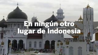 Una pareja gay es azotada en Indonesia | Mundo Global