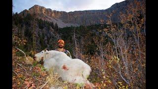 Once in a Lifetime: A Wyoming Mountain Goat Hunt