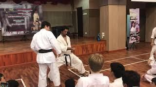 Budo karate part 10: correcto technique - Naka Sensei, JKA Malaysia Gashukku 2019