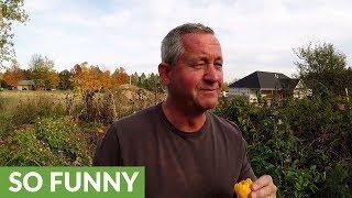 Husband wants spicier food, wife gives him Trinidad scorpion pepper