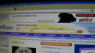 Petfinder.com Review