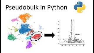Pseudobulk single-cell analysis in Python with Scanpy and pyDeseq2