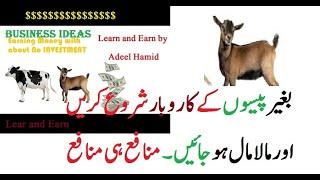 Business Idea With No Investment |How To Make Money With [goats] |Learn Earning in Pakistan