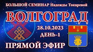 Надежда Токарева - 28.10.2023.Д-1_Большой семинар. Волгоград. Прямой Эфир