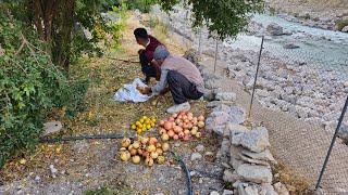 IRAN nomadic life: A Nader trip to the village to pick autumn pomegranates | impassable roads🫐