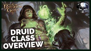 Baldur's Gate 3: Druid Class Overview