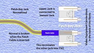 Video Signal Paths