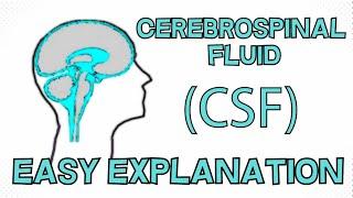 Cerebrospinal Fluid (CSF) explained in 3 Minutes - Function, Composition, Circulation