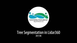 LiDAR360 | Individual Tree Segmentation