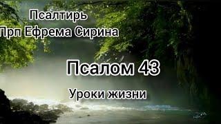 Псалтирь Преподобного Ефрема Сирина. Псалом 43. Уроки жизни.