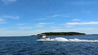 Full throttle with tohatsu mfs 50 hp.