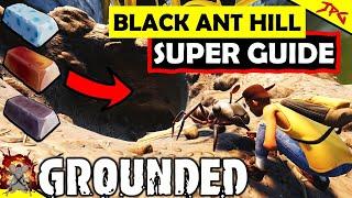 GROUNDED BLACK ANT HILL GUIDE - UNLOCK Quartsite Globs, Fresh And Spicy Plus New Mini Boss Fight