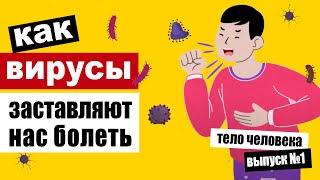 Как вирусы проникают в организм и заставляют нас болеть