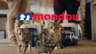 Mondou RELAXEZ-VOUS - publicité de fin d'année 2022