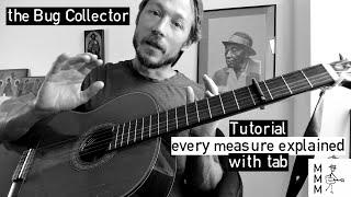 The Bug Collector - Haley Heynderickx - Fingerpicking Tutorial Every Measure with Tab - How to Play