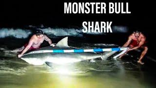 Biggest Landbased Bull Shark Ever