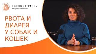  Рвота и диарея у собак и кошек: причины, лечение и профилактика. Рвота и диарея у собак и кошек.