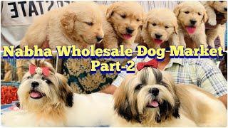 Wholesale DOG MARKET at Nabha Dog Show, Punjab | Part-2 | Husky, Retreivers, Toy Poms, Pomeranian