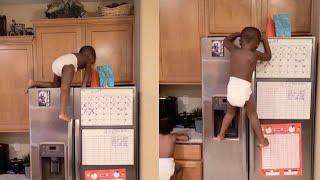 Toddler Climbs Down From Top Of Fridge-Freezer