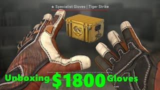 Unboxing Expensive Gloves - Broken Fang Case