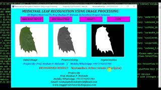 Ayurvedic Medicinal Plant Recognition Using Image Processing | Python Project With Source Code