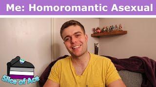 Homoromantic Asexual: My Story | Slice of Ace