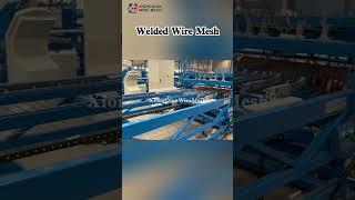 Welded Wire Mesh Production Process电焊网生产过程 #homedecorative #machine #metalmesh #factory #building