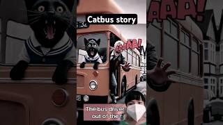 catbus story 