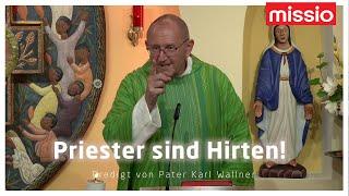 "Priester sind Hirten!" | Pater Karl Wallner | Predigt vom 21.07.24