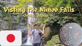 How You should Explore The Minoh Falls, Japan | A Hidden Secret from Osaka