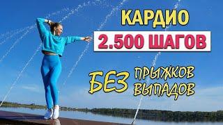 КАРДИО ТРЕНИРОВКА 2.500 ШАГОВ | Физкультурница