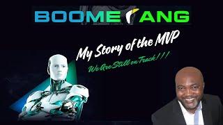 WAAS-Boomerang-My Story of the Boomerang MVP