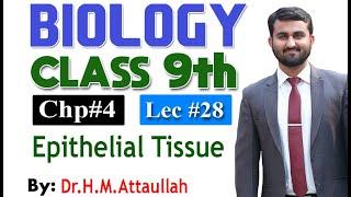 Epithelial Tissues | Chapter 4| 9th class Biology | Lec 28