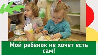 Мой ребенок не хочет есть сам!