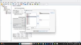 Split half interrater reliability   SPSS