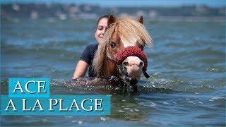 PREMIÈRE PLAGE POUR ACE - Découverte