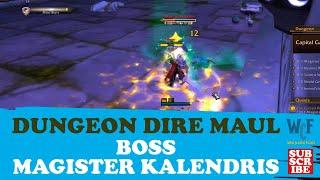 Boss Magister Kalendris | Dungeon Dire Maul | WoW World of Warcraft