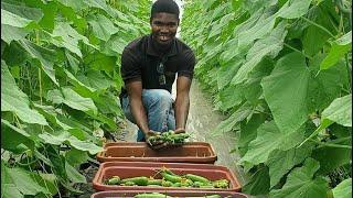 Best Advice From Horticulture Expert To First Time Farmers In Ghana  | Before Choosing A Location