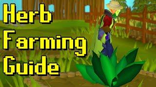 Everything you need to know to do herb runs