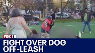 Off-leash dog sparks violent brawl at Seattle's Cal Anderson Park | FOX 13 Seattle