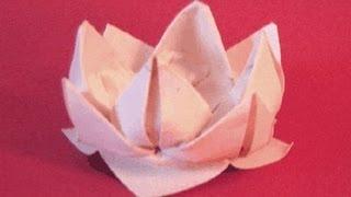Origami Lotus Instructions: www.Origami-Fun.com