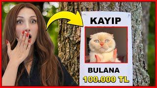 KEDİM MİA KAYBOLDU BULANA 100 BİN TL ÖDÜL  | KÜBRA NİSA DORA