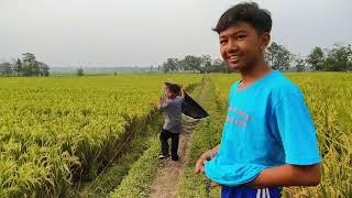 play kite with local boys