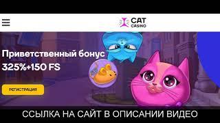 cat casino регистрация