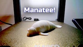 Manatee - 3D Print Timelapse