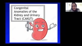 IM-Pediatrics Congenital Anomalies of the Kidney and Urinary Tract (CAKUT)