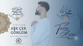 AŞK ÇEK GÖNLÜM FADIL AYDIN