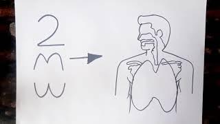 How to Draw Human Respiratory System Diagram // Class 10 Science Diagram